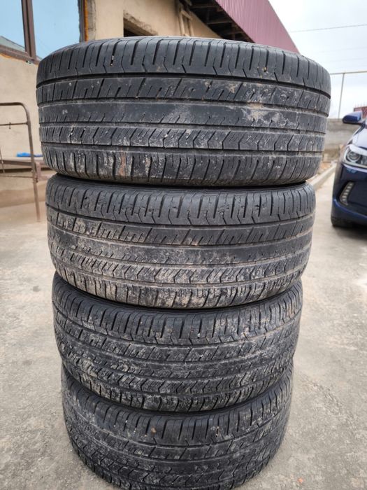 Жаздық дөнгелек жағдай жақсы