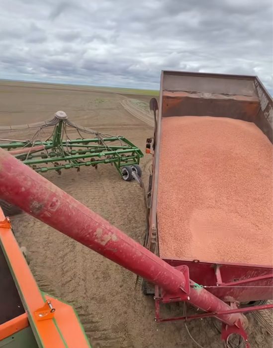 Крестьянское хозяйство