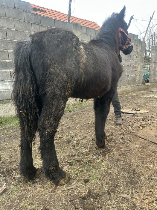 Vand un manz coca cola