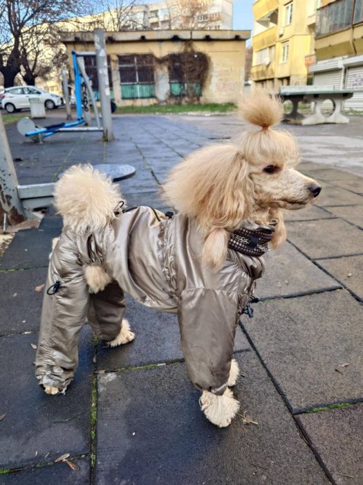 Гащеризон дъждобран, гети, нашийник