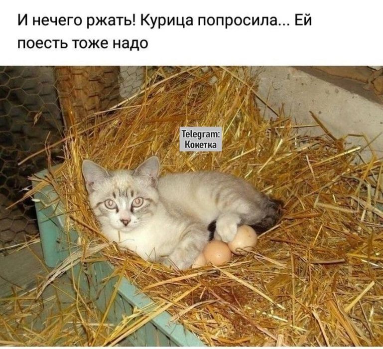 Продам сыворотку по 50 тенге