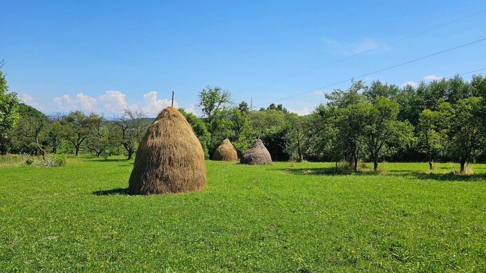 Vand fan, din șopru și 5 clăi.