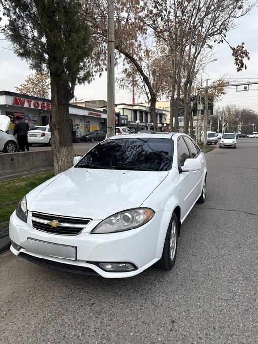 Жентра 2019 срочно