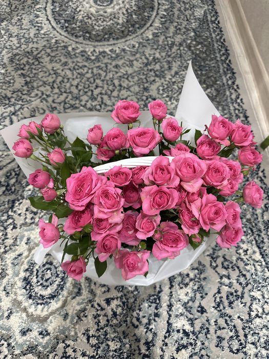 Цветы/гул/ flower