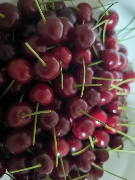 Продается дачная вишня
