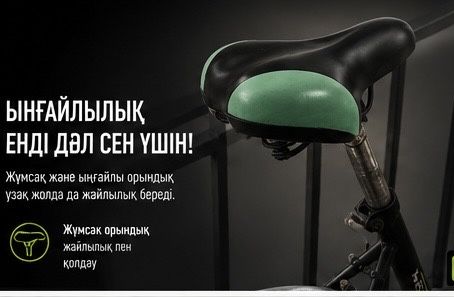түркістан,велик аист