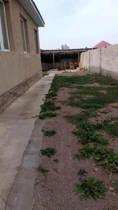 Продом дом ближайшие школы