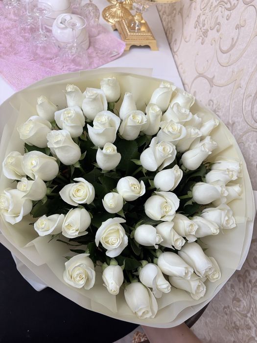 51белый роза бүгінгі
