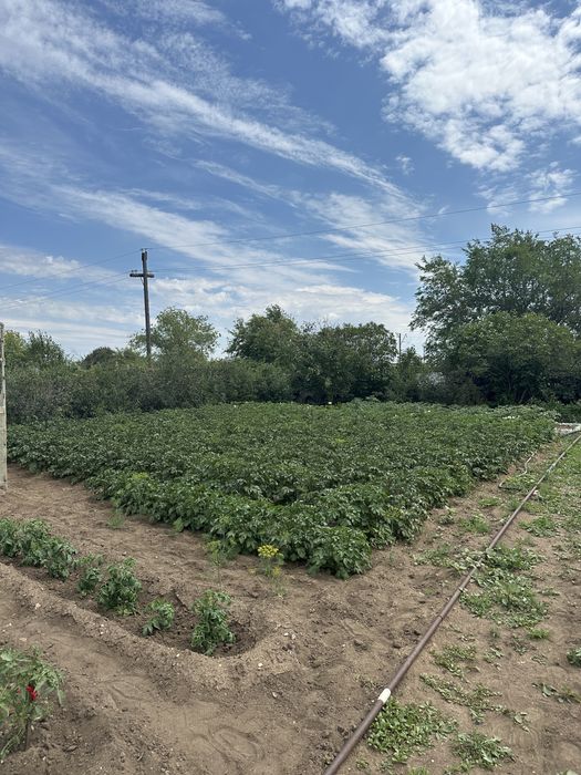 Продам дачу на Темирязева