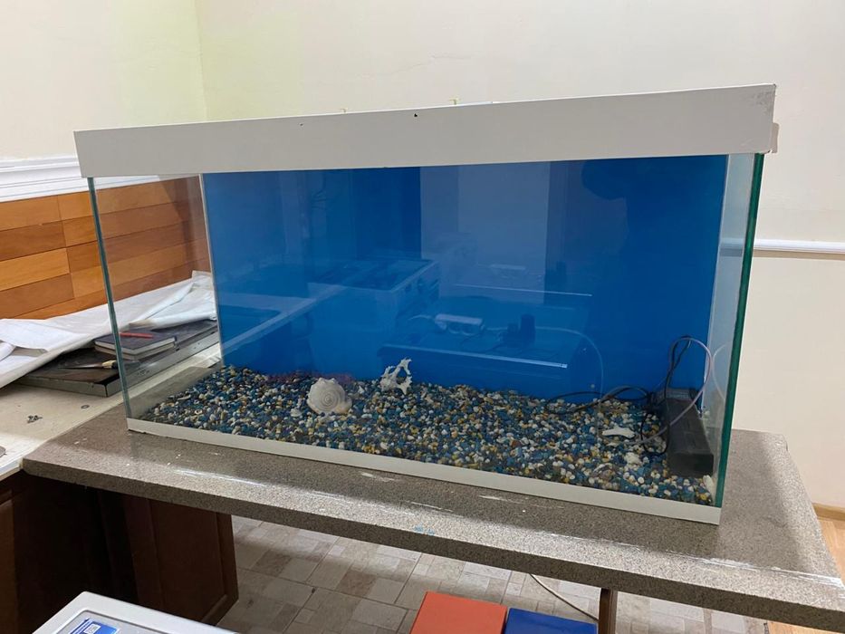 аквариум аквариум аквариум