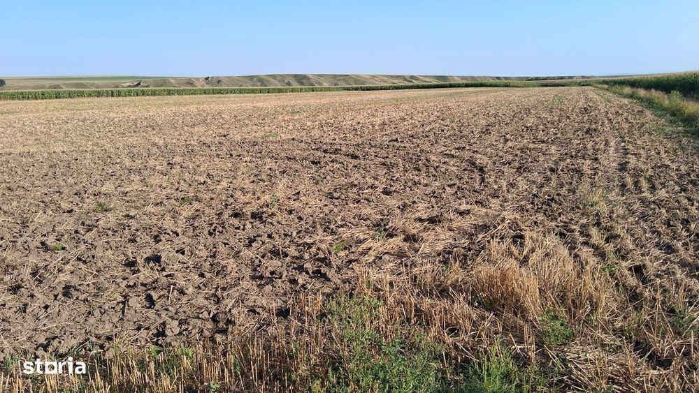 Teren extravilan zona izvoare 28500 mp