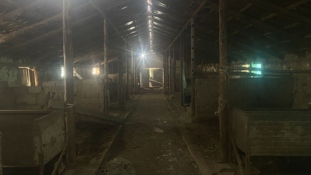 Срочно продается фазенда