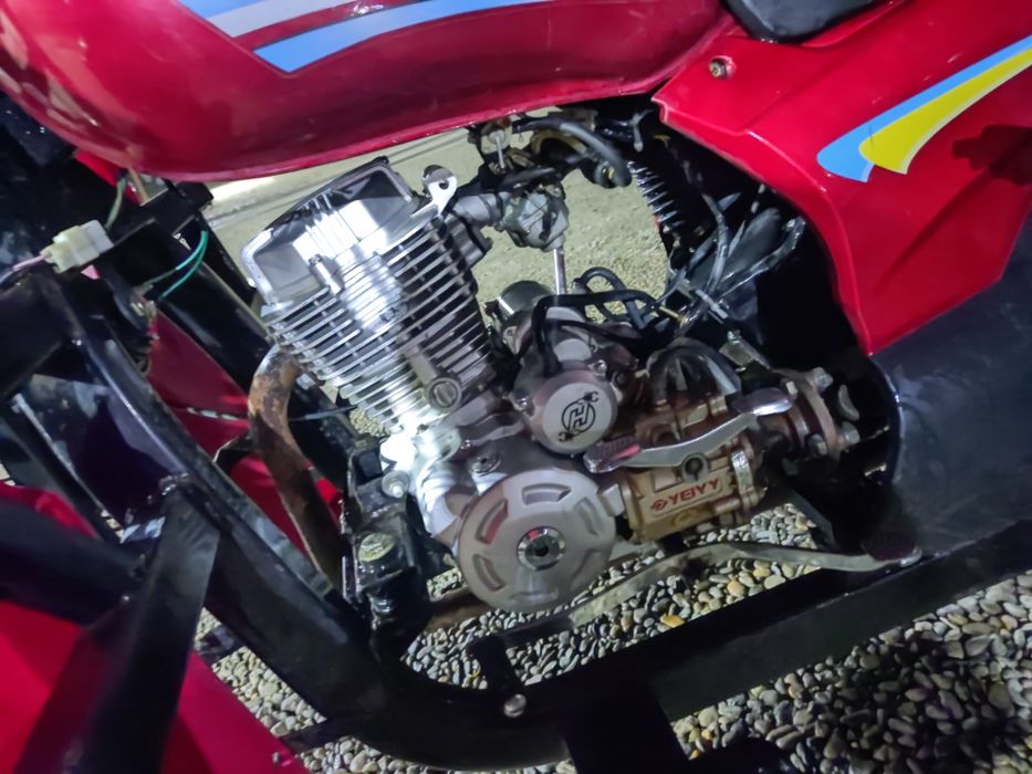 Matarul New star 2022