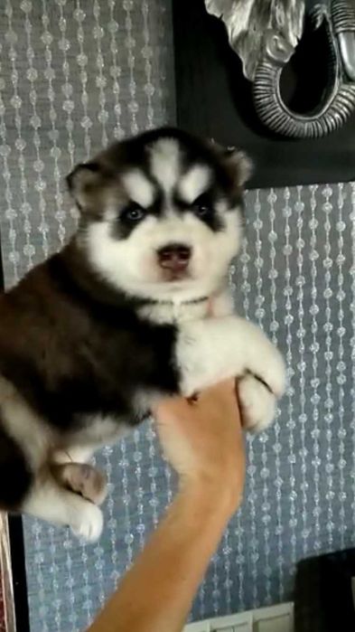 Мальчик с ярко голубыми глазками