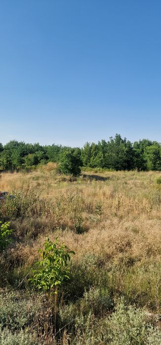 Продава се Парцел в Видин, Нов път - 23000 кв.м за 1 €/кв.м - Снимка #1