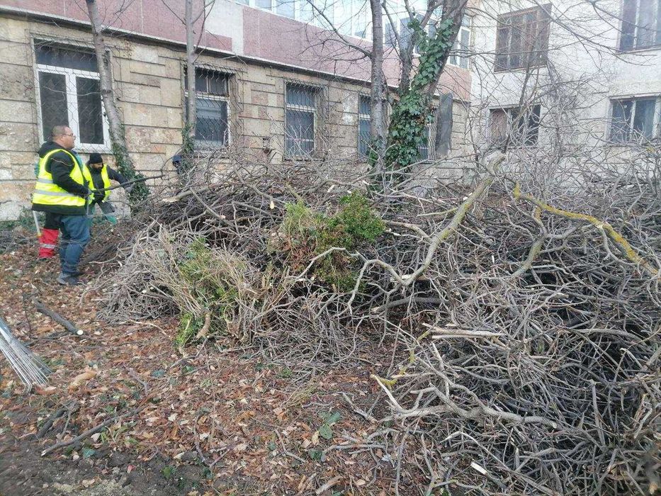 Всякакви градинарски услуги - Варна и областта