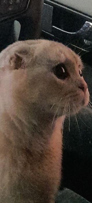 Xotinim bilan jinsiy aloqani tomosha qiling