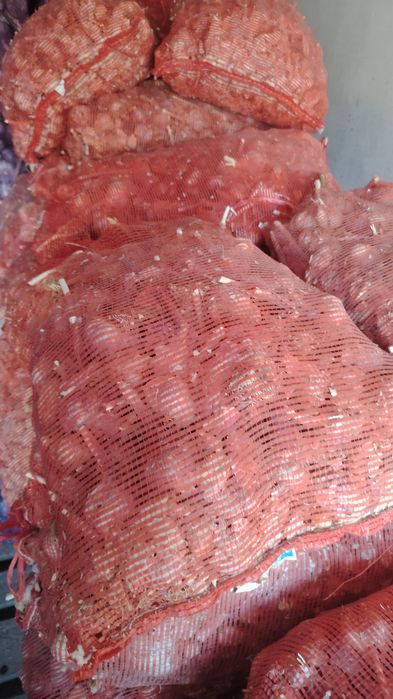 ЧЕСНОК оптовая продажа