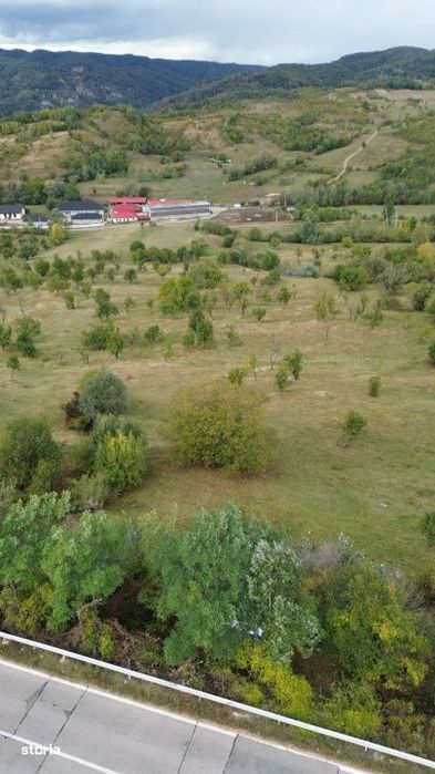 Teren 8.043 mp la DN73C Berevoesti – 3€/mp! Oportunitate rara