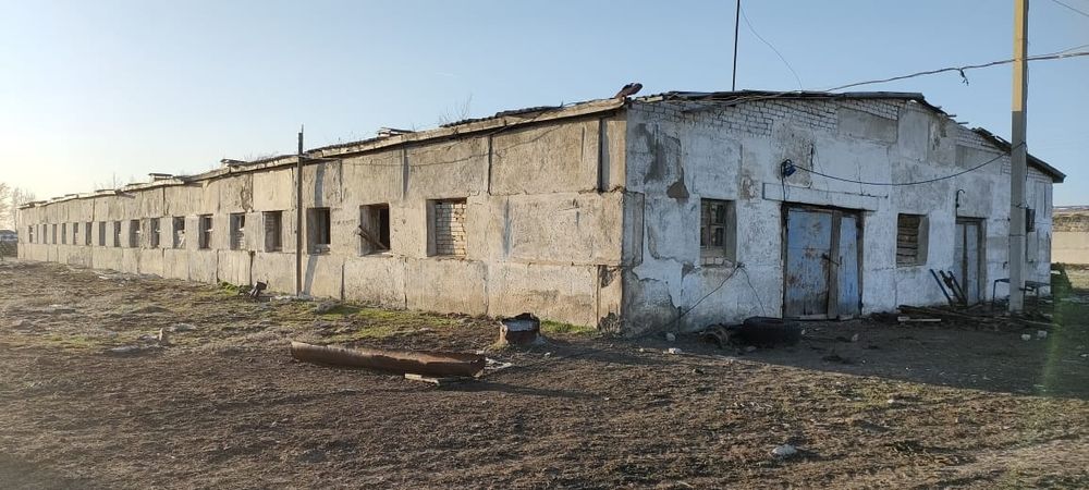 Ферма в Бескарагайском районе