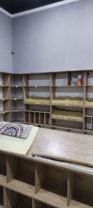 Урганч шахар гурленский