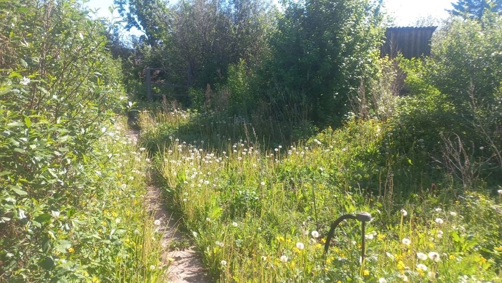 Продам дачу Летний вариант