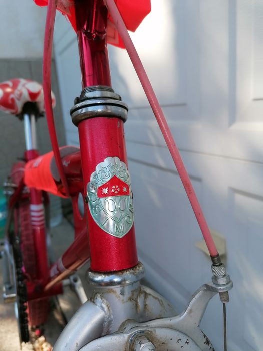 Bicicleta copii Simon Bike