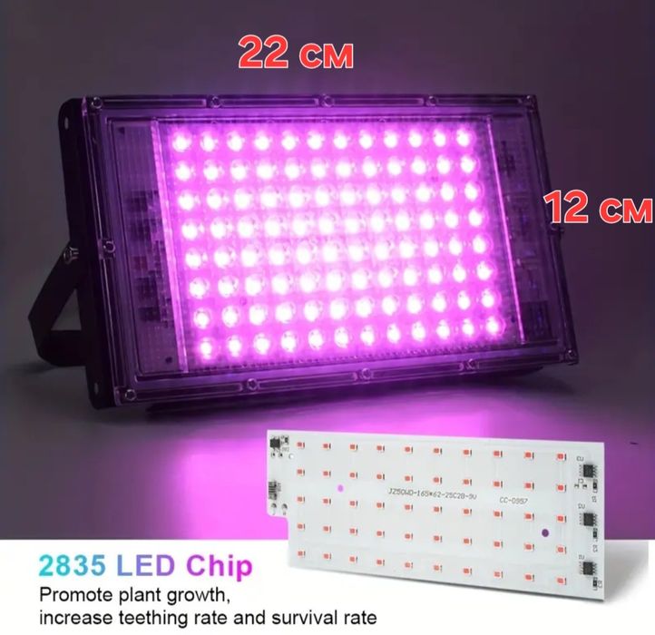 Fitolampa. Фитолампа