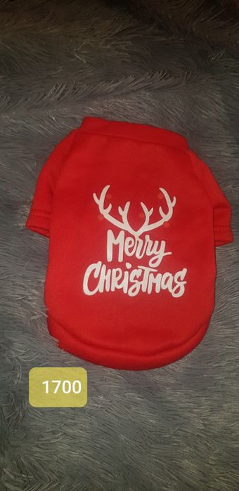 Одежда для собак