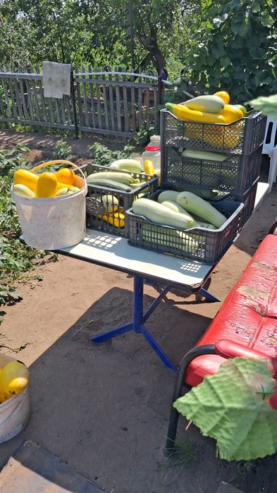Продам овощи ! Дачные ! Самовывоз !