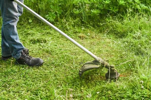 Servicii Grădinărit: Tuns Iarbă, Greblat, Săpat - Vin cu sculele