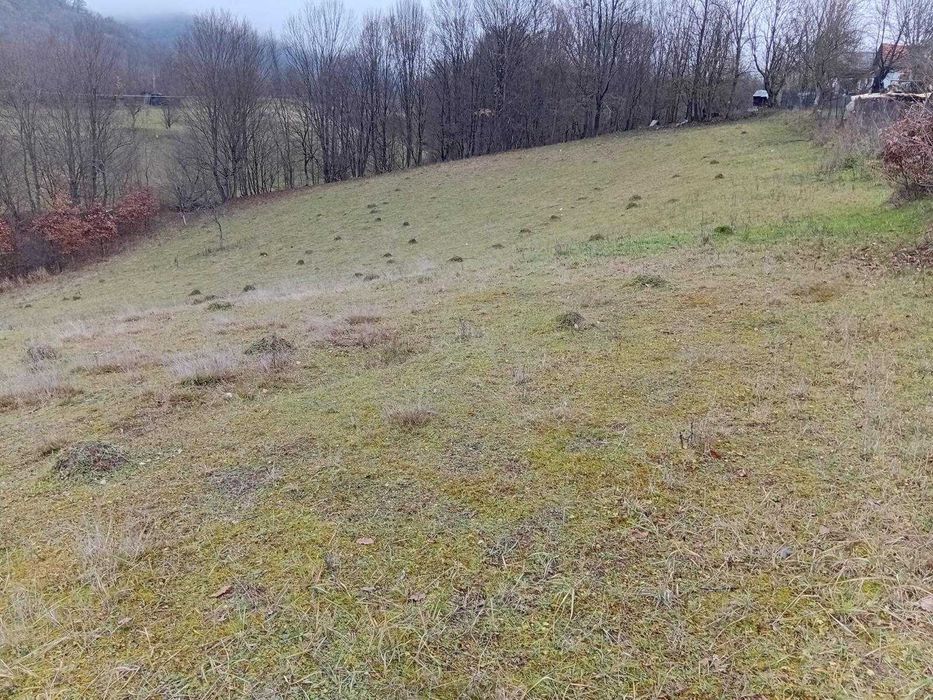 Teren Extravilan 10528 mp, sat Luncoiu de Sus, comuna Luncoiu de Jos