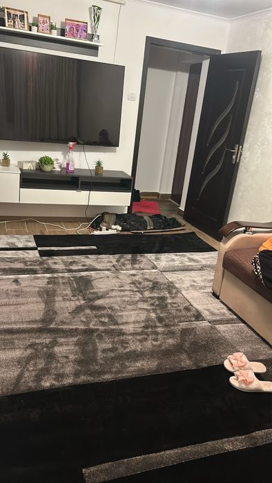 Apartament 1 camera Micro 40