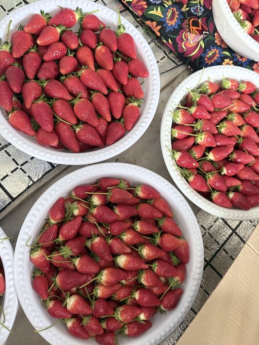 Клубника qulupnay