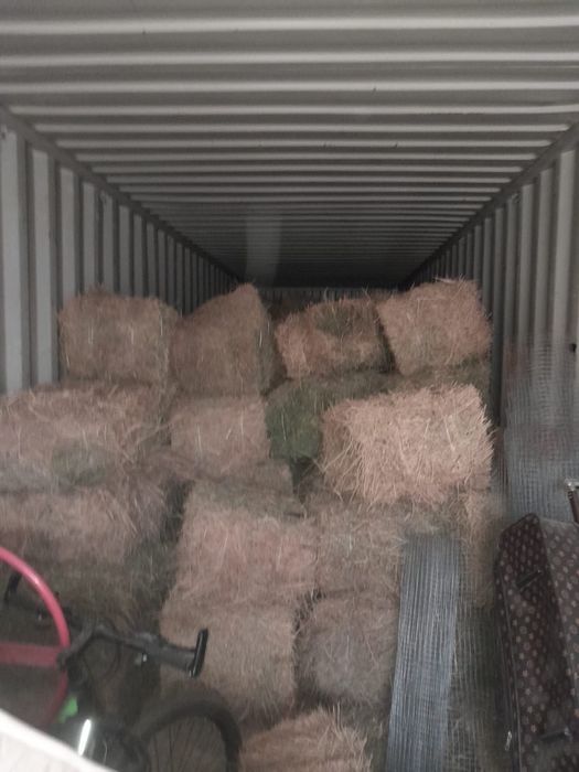 Жоңышқа сатылады