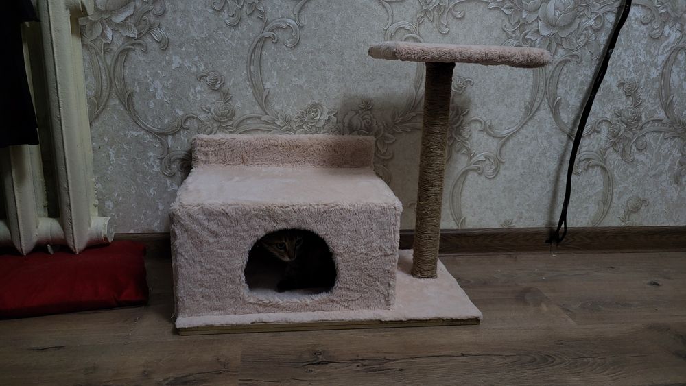 Домик для кошек, ручная работа