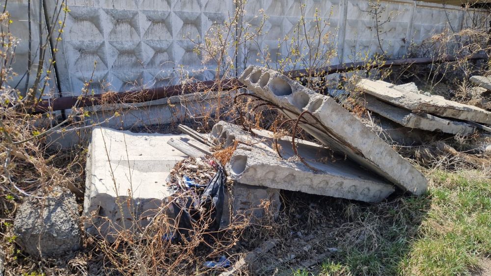 Отдам даром