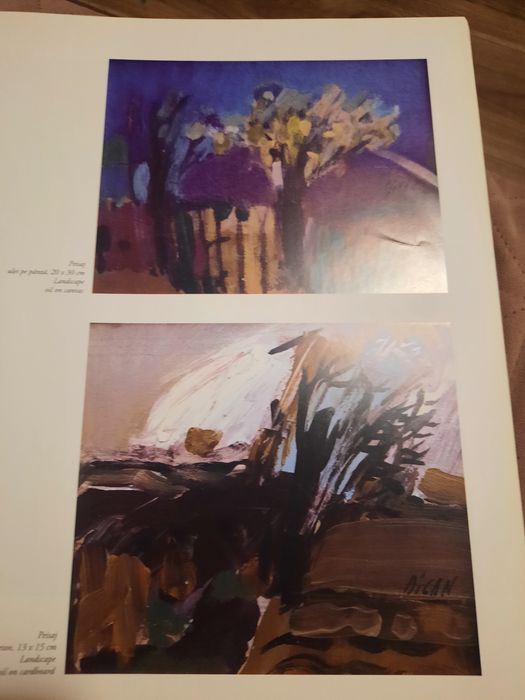 Album de artă - Gheorghe Dican (Ediție de colecție)

De ce