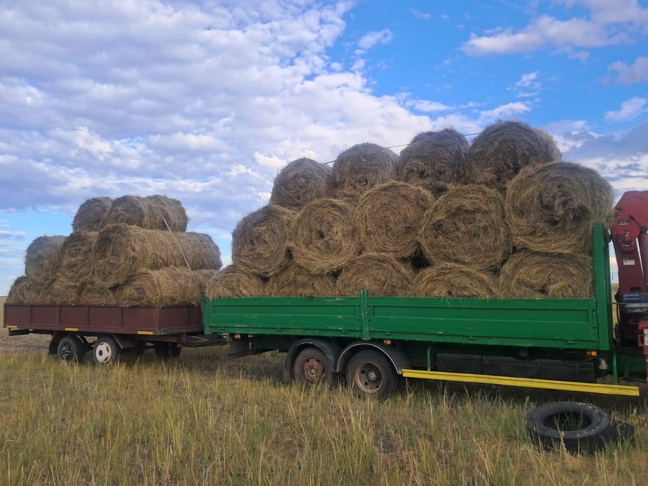 Продам сено свежий покос