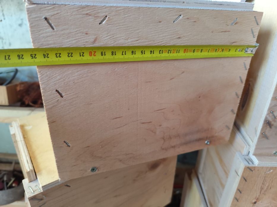 Cuiburi papagali și veverițe