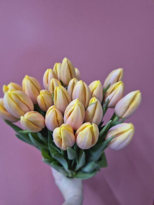 Тюльпаны Актобе!