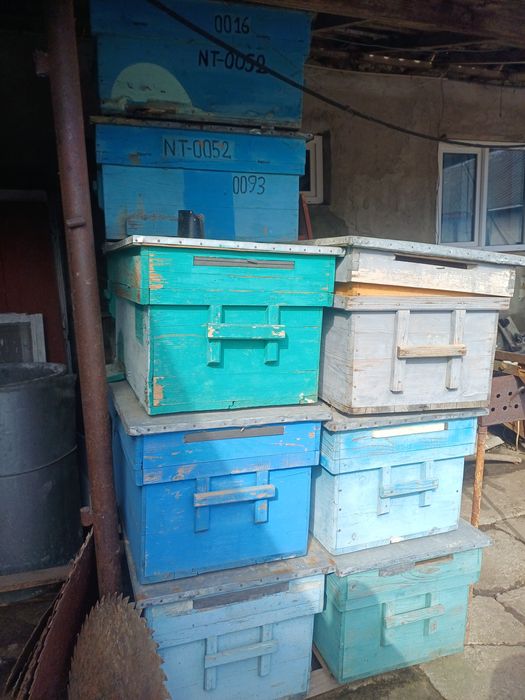 Vând stupi de albine