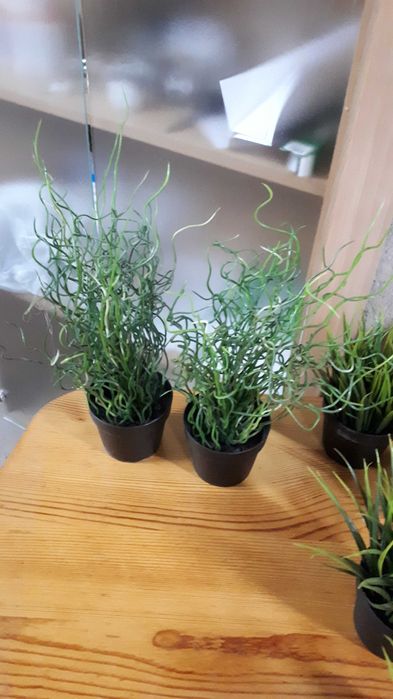 Продам искусственные растения ИКЕА