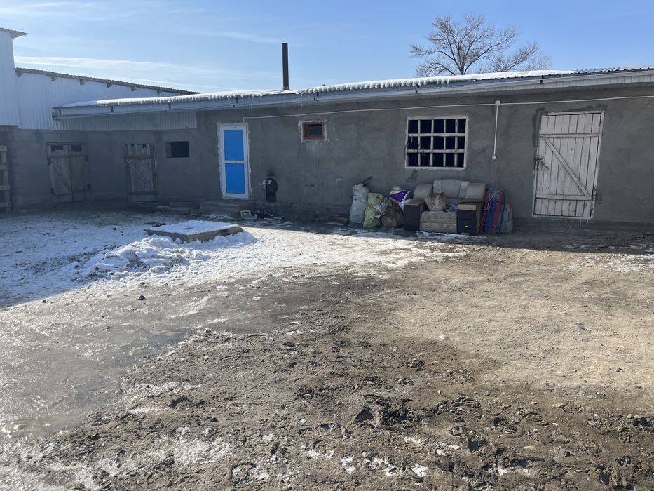 Продам дом в селе Алтыуй