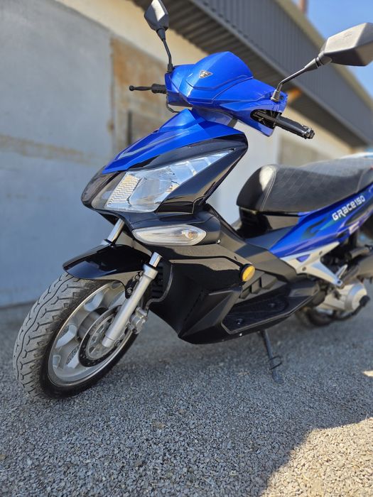 Irbis grace  150