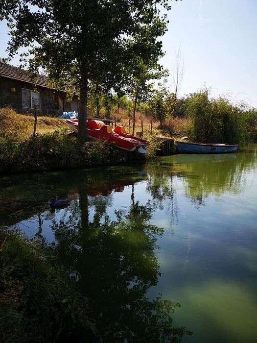 Продава се Парцел в Мизия - 21000 кв.м за 7 €/кв.м - Снимка #13