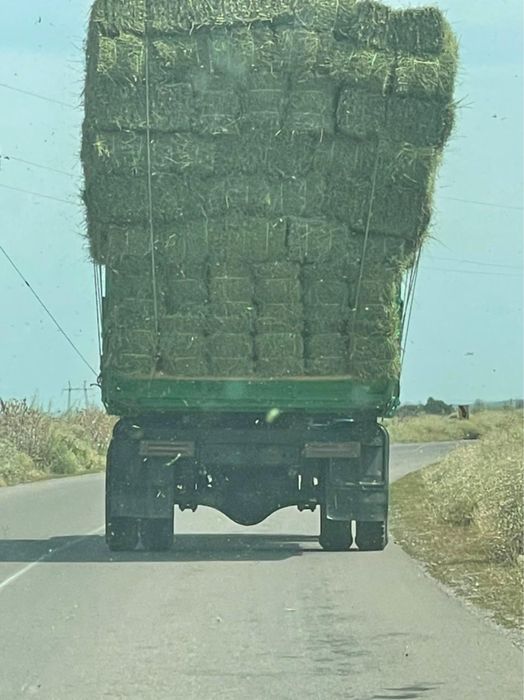 Цено,разнотравия,житняк,сабан