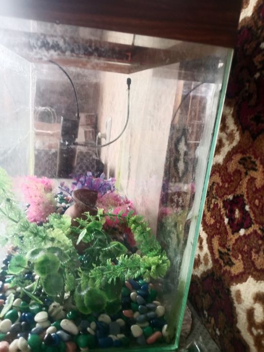Продам аквариум бу