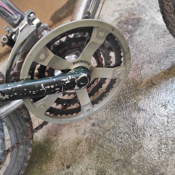 Bicicleta persoane adulte