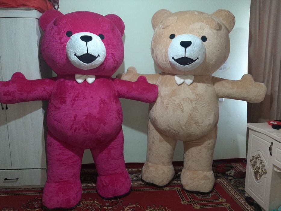 Ayiqchalar Xizmati Aksiya !